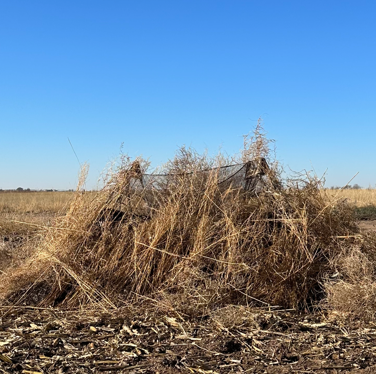 Double Up System - Mossy Oak Habitat