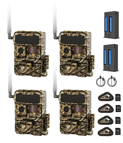 Y2 4-pack ($600 value)